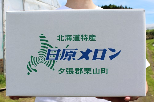 【先行予約】極上の一品「日原メロン」2玉×2品種食べ比べ定期便 北海道産赤肉メロン