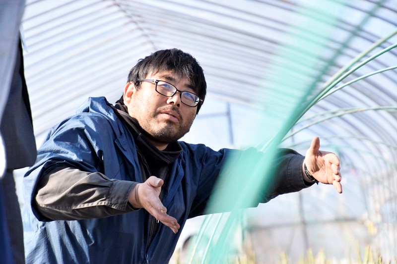 北海道産「夏採れ！北海道アスパラガス」700g