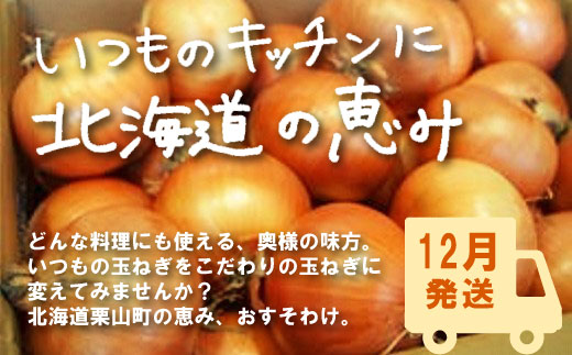 【12月発送】越冬用減農薬玉ねぎ10kg