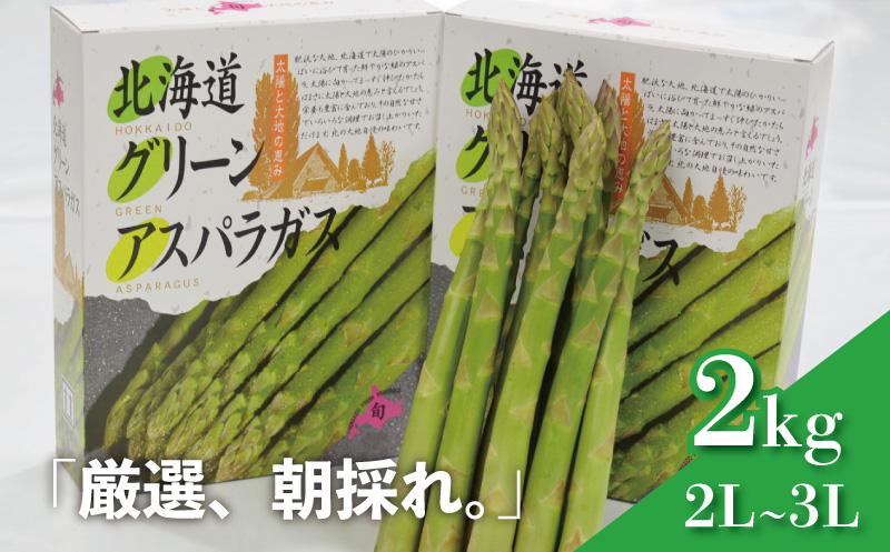 【先行予約】北海道産 春採り グリーン アスパラガス 2kg 2L～3Lサイズ おがファーム