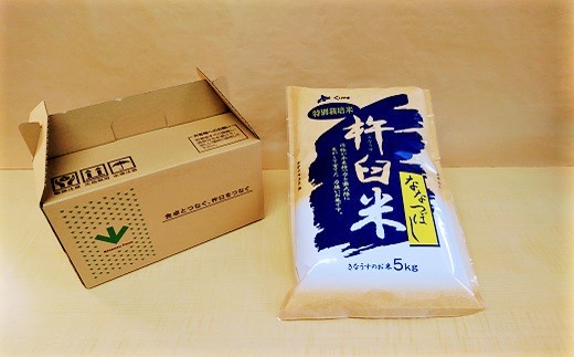 【精米12ヶ月定期便】特別栽培「きなうす米」ななつぼし5kg×12回