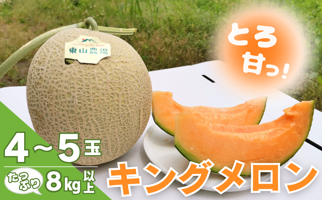 【先行予約】たっぷりお届け！北海道栗山町東山農場産キングメロン8kg