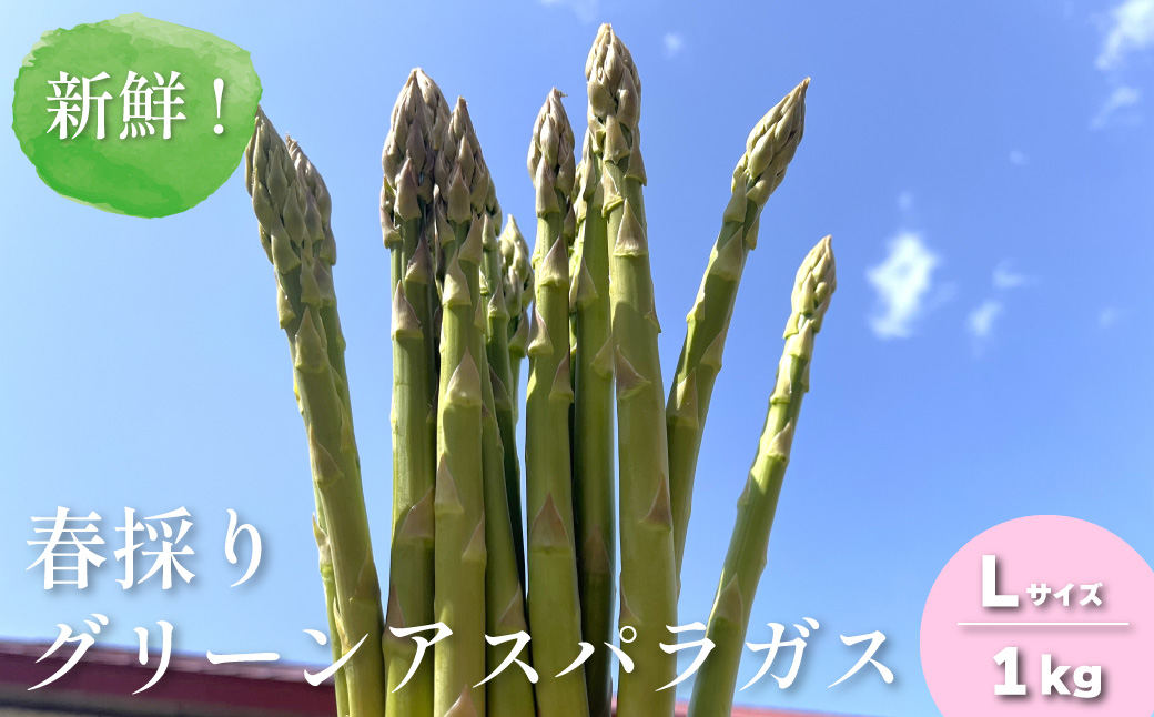 新鮮！春採り　グリーンアスパラガスLサイズ1kg