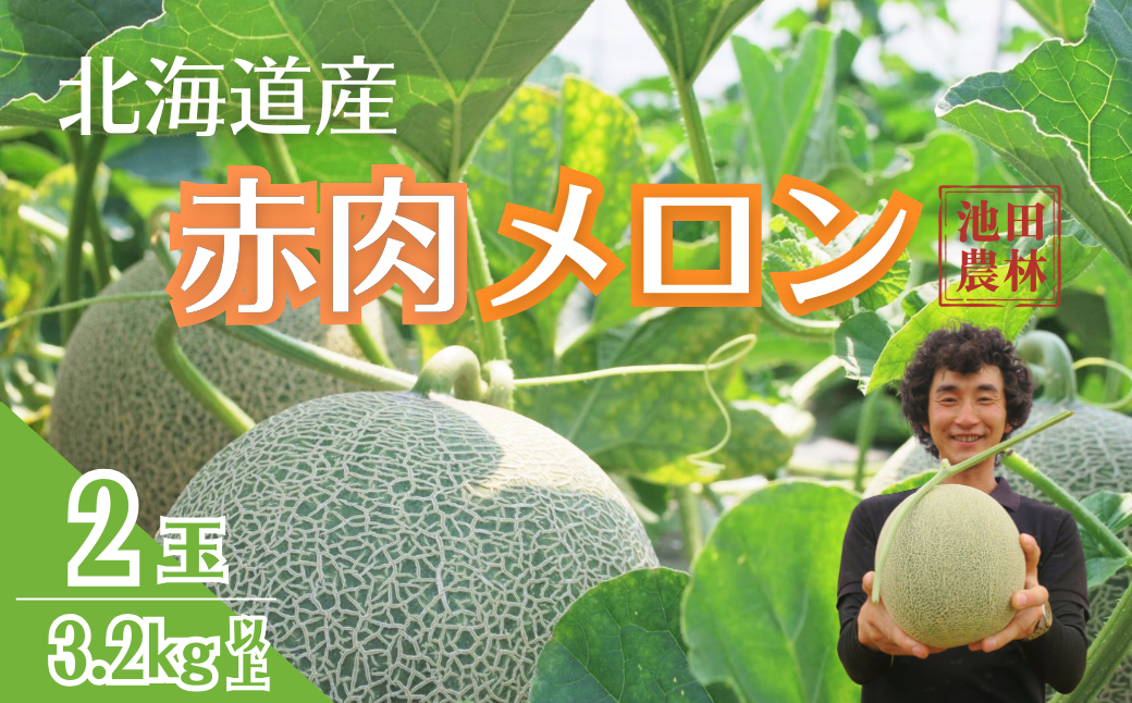 【先行予約】北海道栗山町産 幻のメロン 2玉（池田農林）