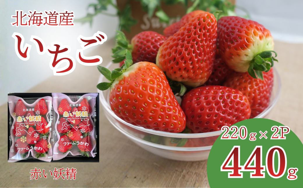 もぎたて！ファームうかわの大粒いちご2パック