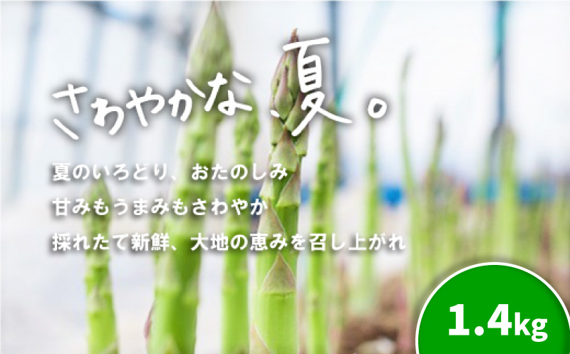 北海道産「夏採れ！北海道アスパラガス」1.4kg