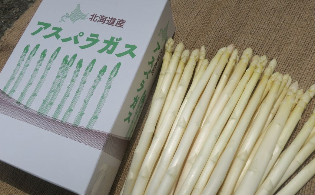 縲仙郁。御コ育エ縲遷A縺昴i縺。蜊励ョ蜻ウ隕壹後帙Ρ繧、繝医い繧ケ繝代Λ繧ャ繧ケ縲拘縲廰縲1kg蜑榊セ