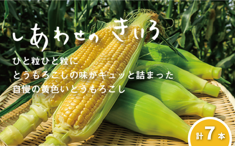 【先行予約】大地の恵み「とうもろこし（イエロー）」7本