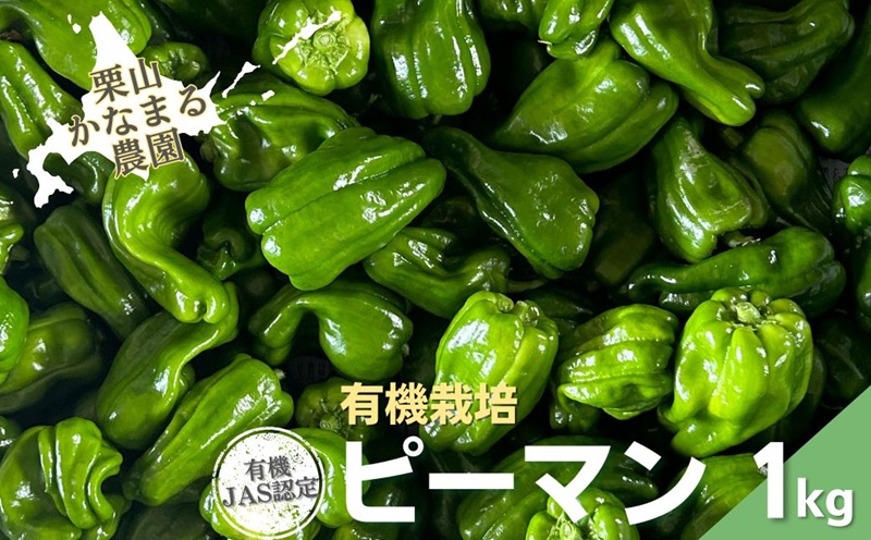 有機栽培 ピーマン 1kg　栗山かなまる農園