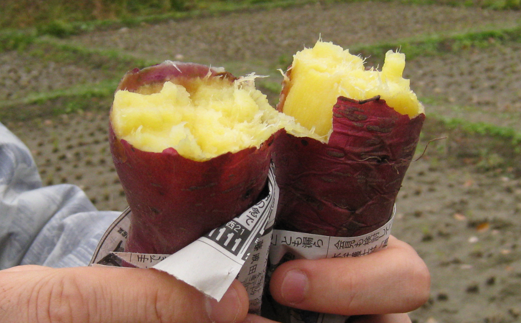 蜜がしたたる北海道産さつまいも「紅はるか」6kg