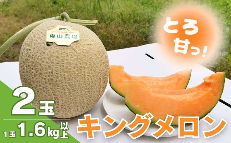 【先行予約】とろける舌触り！北海道栗山町東山農場産キングメロン 2玉