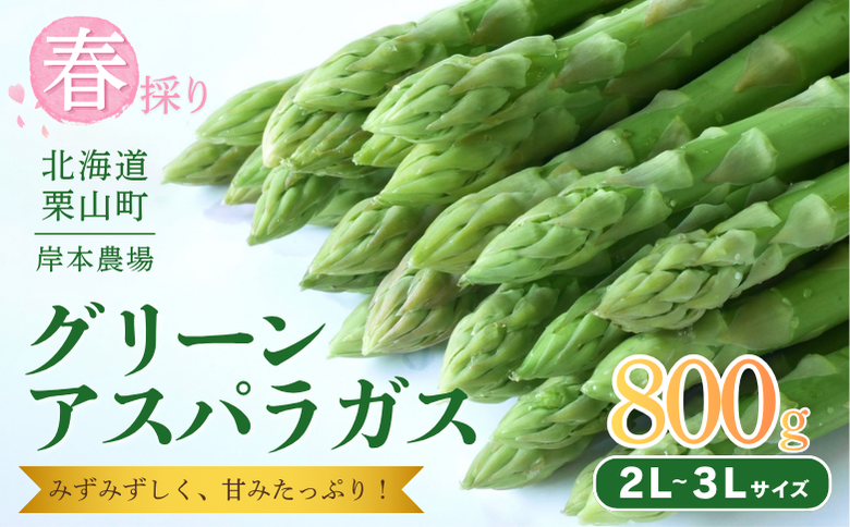 【2027年度産 先行予約】極太 北海道産 春採りグリーンアスパラガス 約800g 3L～2L 岸本農場