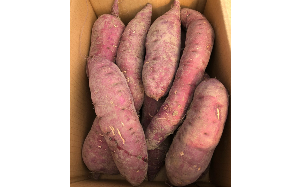 陷懊′縺励◆縺溘k蛹玲オキ驕鍋肇縺輔▽縺セ縺繧ゅ檎エ縺ッ繧九°縲4kg