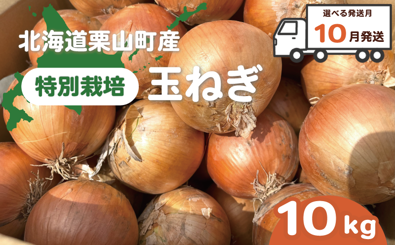 【10月発送】サラダにもOK！特別栽培玉ねぎ10kg