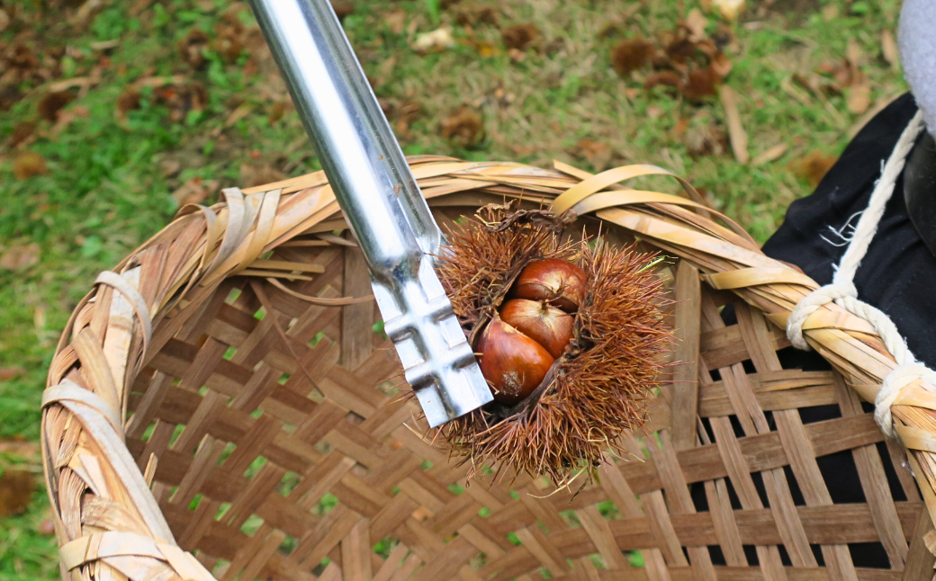 譬怜アア譬 縲檎曝髴イ辣ョ繝サ貂狗坩辣ョ縲阪そ繝繝