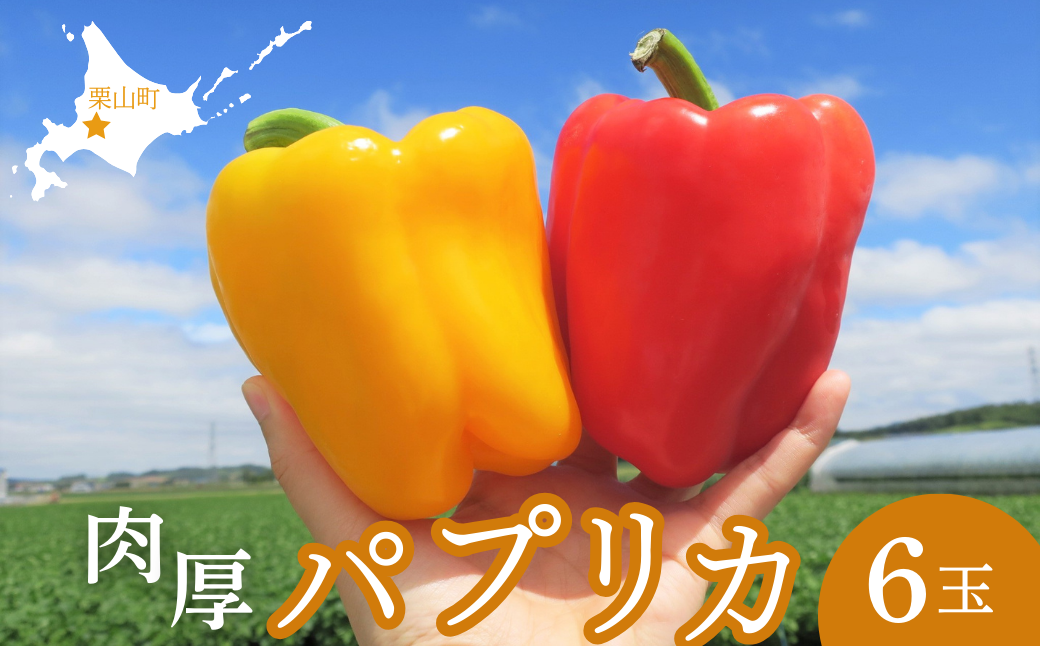 北海道栗山町産 土で育てた匠のパプリカ 6玉【池田農林】