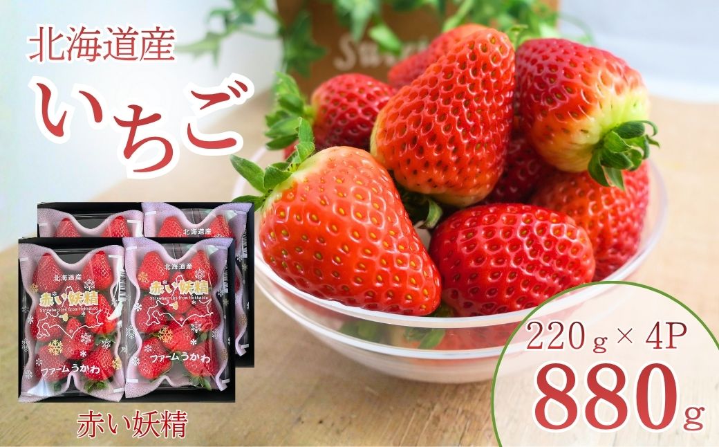 もぎたて！ファームうかわの大粒いちご4パック