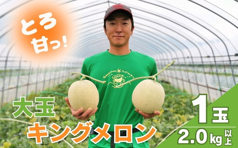【大玉】とろける舌触り！東山農場産キングメロン 1玉