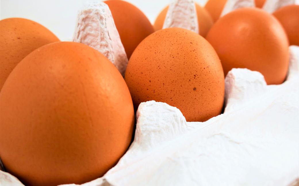 大切な人におくりたい すべて北海道栗山町産のたまごかけご飯ギフトボックス 「しょうゆ・ぽん酢」