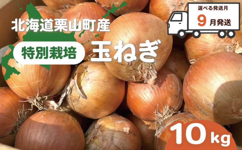 【9月発送】サラダにもOK！特別栽培玉ねぎ10kg