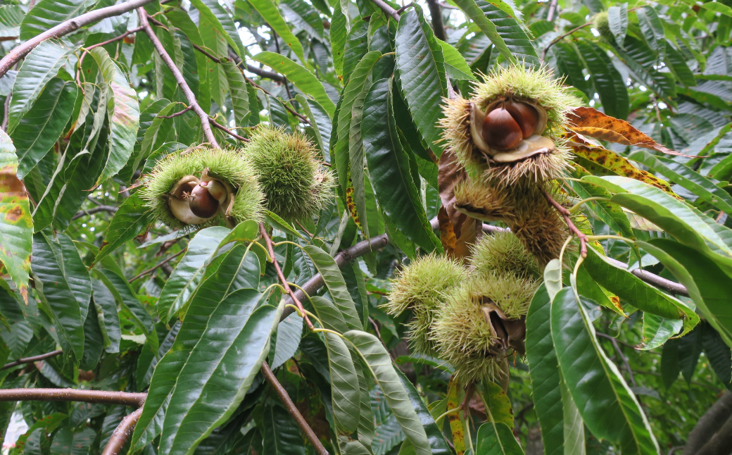 譬怜アア譬 縲檎曝髴イ辣ョ繝サ貂狗坩辣ョ縲阪そ繝繝