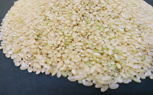 【玄米6ヶ月定期便】特別栽培「きなうす米」ななつぼし5kg×6回