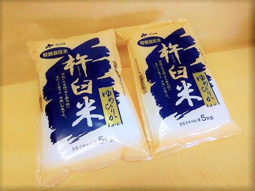 【無洗米12ヶ月定期便】特別栽培「きなうす米」北海道産ゆめぴりか10kg×12回