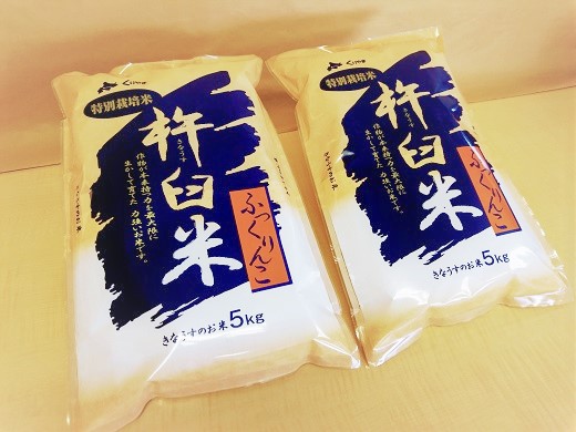 【精米12ヶ月定期便】特別栽培「きなうす米」ふっくりんこ10kg×12回