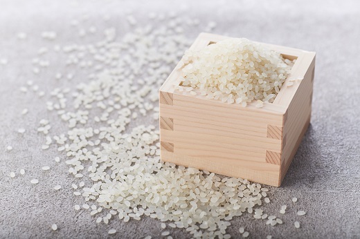 夕張の水が育む！有機肥料のお米　なごみ（ななつぼし種）5kg×2袋