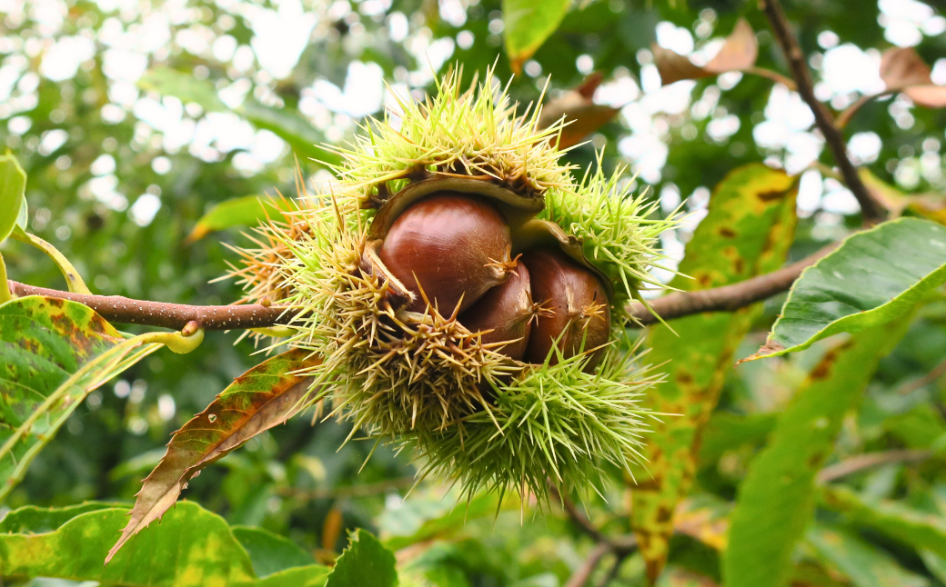 譬怜アア譬 縲檎曝髴イ辣ョ繝サ貂狗坩辣ョ縲阪そ繝繝