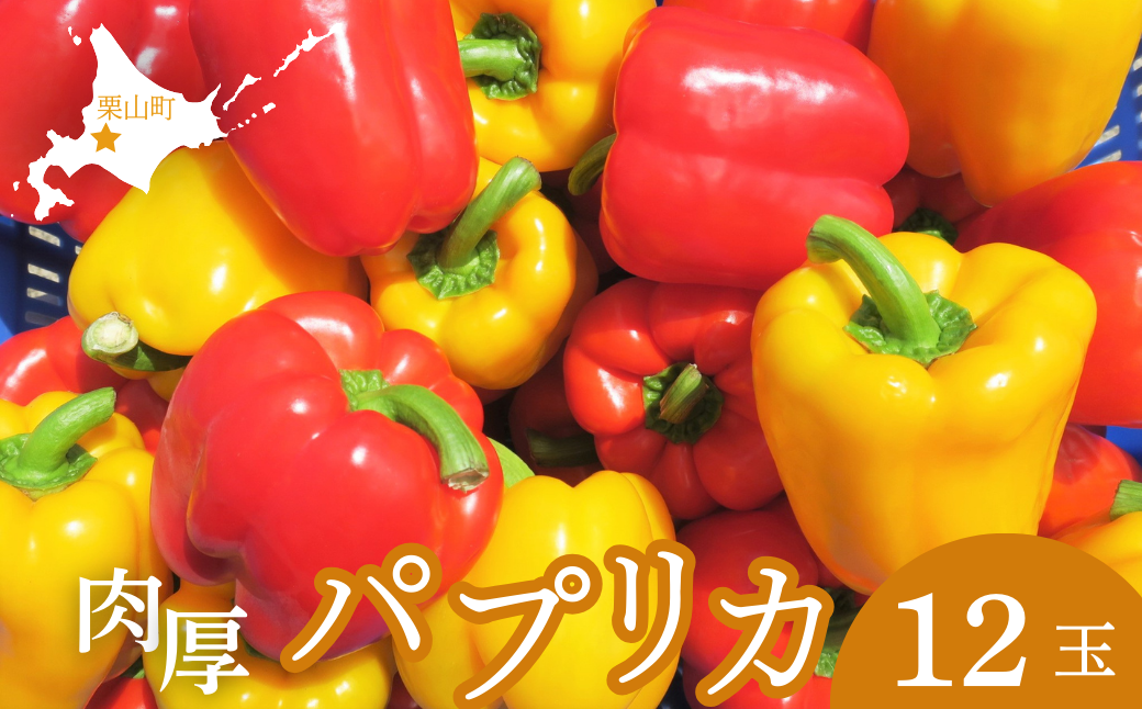 北海道栗山町産 土で育てた匠のパプリカ 12玉【池田農林】