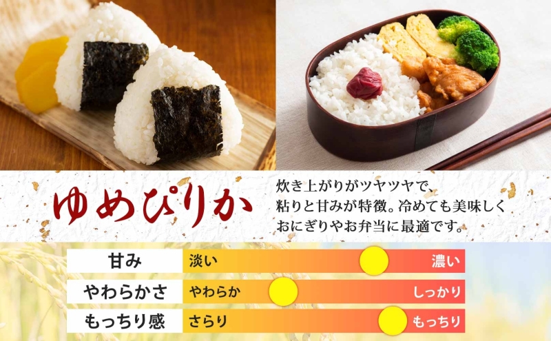 【令和7年産先行予約】北海道 定期便 12ヵ月連続12回 令和7年産 ゆめぴりか 5kg×4袋 特A 精米 米 白米 ご飯 お米 ごはん 国産 ブランド米 肉料理 ギフト 常温 お取り寄せ 産地直送 送料無料 