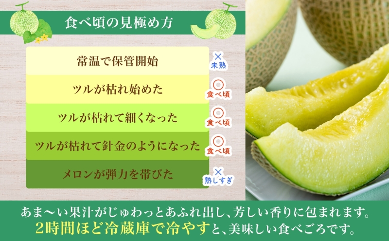 【2026年夏発送】北海道 青肉メロン 月雫 秀品 2玉 約1.6kg 計約3.2kg以上 令和8年 メロン 果物 フルーツ 旬 季節 希少 甘い 豊潤 国産 北海道産 デザート ご褒美 産地直送 ギフト お祝い 贈答品 贈り物 お取寄