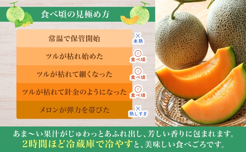 【2026年夏発送】北海道 赤肉メロン 北の女王 青肉メロン 月雫 秀品 約1.6kg 各2玉 令和8年 メロン 果物 フルーツ 旬 希少 甘い 豊潤 国産 ご褒美 産地直送 ギフト お祝い 贈答品 贈り物 お中元 常温 お取り寄せ