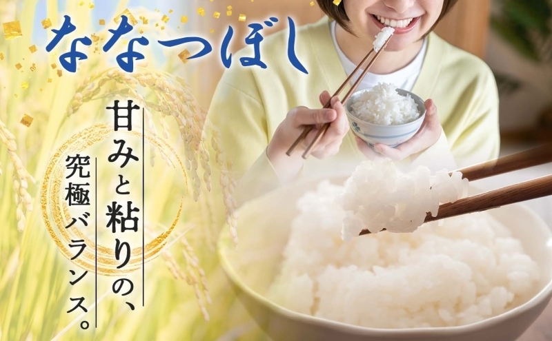 北海道 定期便 隔月2回 令和6年産 ななつぼし 5kg×2袋 特A 精米 米 白米 ご飯 お米 ごはん 国産 北海道産 ブランド米 おにぎり ふっくら 常温 お取り寄せ 産地直送 R6年産 送料無料 