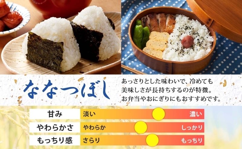 北海道 定期便 隔月2回 令和6年産 ななつぼし 5kg×2袋 特A 精米 米 白米 ご飯 お米 ごはん 国産 北海道産 ブランド米 おにぎり ふっくら 常温 お取り寄せ 産地直送 R6年産 送料無料 