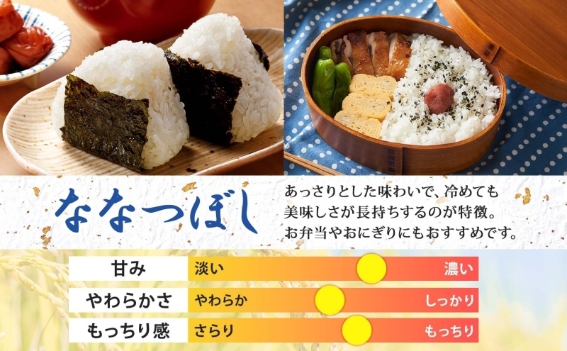 【令和8年産先行予約】北海道 定期便 隔月2回 令和8年産 ななつぼし 5kg×2袋 特A 精米 米 白米 ご飯 お米 ごはん 国産 北海道産 ブランド米 おにぎり ふっくら 常温 お取り寄せ 産地直送 R8年産 送料無料