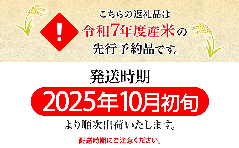 【令和7年産先行予約】北海道 定期便 隔月3回 令和7年産 ななつぼし 無洗米 5kg×2袋 特A 米 白米 ご飯 お米 ごはん 国産 ブランド米 時短 便利 常温 お取り寄せ 産地直送 送料無料 月形 