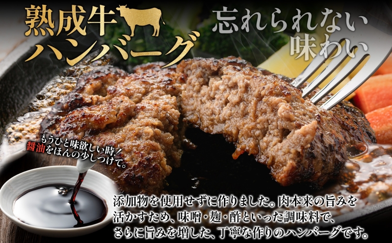 月形熟成牛 ハンバーグ 120g 10個 計 1200g 1.2kg 北海道フード株式会社 無添加 熟成肉 冷凍 ギフト 詰め合わせ 和牛 赤身 牛肉 お弁当 ランチ 昼食 夕食 おかず 惣菜 バーベキュー 焼肉 キャンプ アウトドア 送料無料 北海道 【 月形町 】