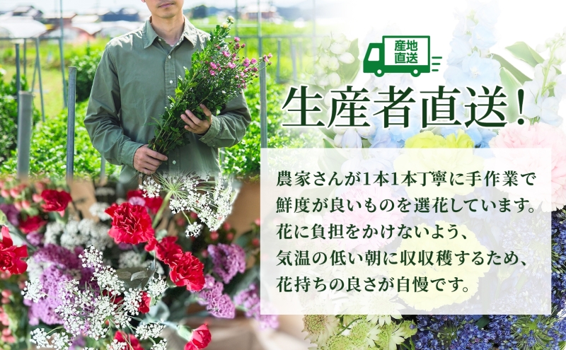 ＜2026年6月～8月まで3ヵ月連続お届け＞ 北海道 花 詰め合わせ 4品種 20本以上 切り花 切花 花束 ブーケ 季節 旬 生花 フラワー アレンジメント 記念日 産地直送 