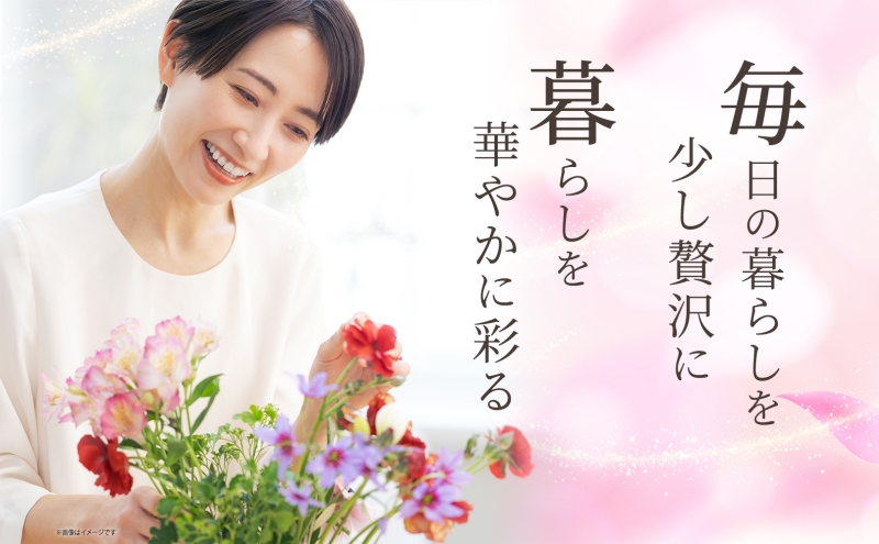 ＜2026年7月～9月まで3ヵ月連続お届け＞北海道 花 詰め合わせ 4品種 20本以上 切り花 切花 花束 ブーケ 季節 旬 生花 フラワー アレンジメント 記念日 産地直送 