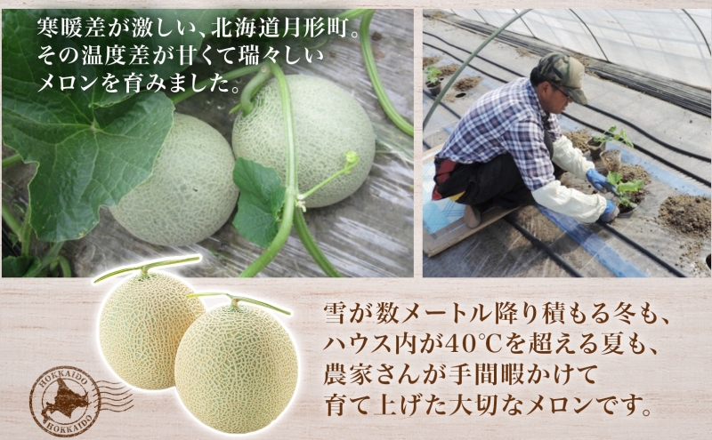 【2026年夏発送】北海道 赤肉メロン 北の女王 秀品 約1.6kg×3玉 計約4kg以上 令和8年 メロン 果物 フルーツ 旬 季節 希少 貴重 甘い 豊潤 国産 デザート 産地直送 ギフト お祝い 贈答品 贈り物 常温 お取寄 送料無料 果物類