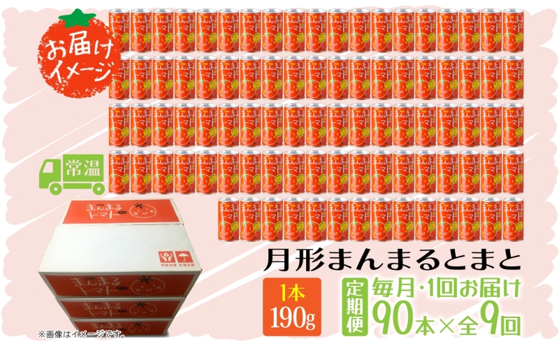 定期便 9ヶ月 北海道 トマトジュース 月形まんまるトマト 190g×90本 桃太郎 トマト 食塩不使用 食塩無添加 とまと 缶 無塩 ジュース ストレート 野菜ジュース 健康 完熟 ご褒美 プレゼント 送料無料