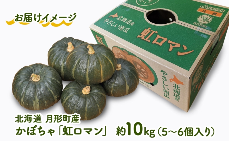 北海道 月形町産 かぼちゃ 虹ロマン 5～6個 約10kg 1箱 南瓜 カボチャ 野菜 旬 ホクホク 甘い パンプキン ハロウィン お取り寄せ 自家用 人気 おすすめ 産地直送 月形農業協同組合 送料無料 月形