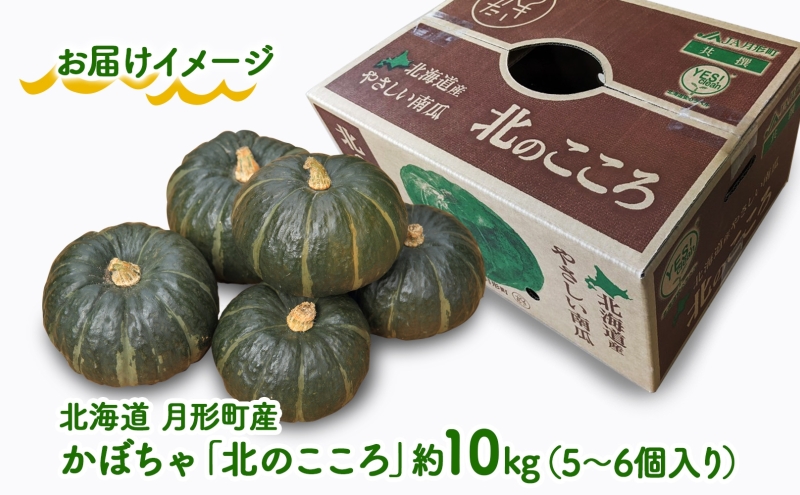 北海道 月形町産 かぼちゃ 北のこころ 5～6個 約10kg 1箱 南瓜 カボチャ 野菜 旬 ホクホク 甘い パンプキン ハロウィン お取り寄せ 自家用 煮物 天ぷら 産地直送 月形農業協同組合 送料無料 月形