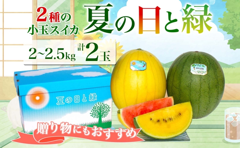 北海道 小玉 スイカ 2種 セット 夏の日と緑 2～2.5kg 2玉 赤色 黄色 すいか 果物 フルーツ 旬 西瓜 甘い プレゼント ギフト 自家用 お中元 お取り寄せ 国産 ご褒美 産地直送 送料無料 エーコープつきがた