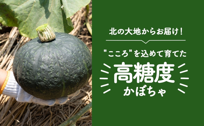 北海道 月形町産 かぼちゃ 北のこころ 5～6個 約10kg 1箱 南瓜 カボチャ 野菜 旬 ホクホク 甘い パンプキン ハロウィン お取り寄せ 自家用 煮物 天ぷら 産地直送 月形農業協同組合 送料無料 月形