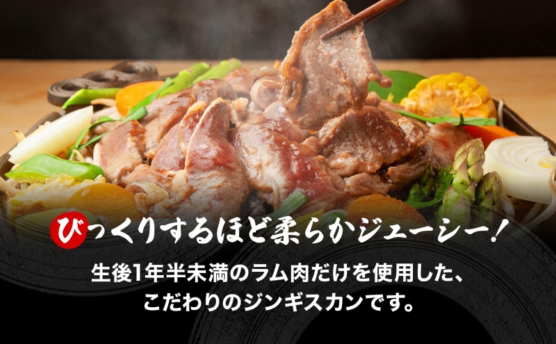 さかいのジンギスカン 味付けラム 600g 肉 焼肉 BBQ ジンギスカン 味付き 子羊 お肉 羊 羊肉 ジビエ 時短 パーティー お取り寄せ 肉のさかい 酒井畜産 送料無料 北海道 月形町