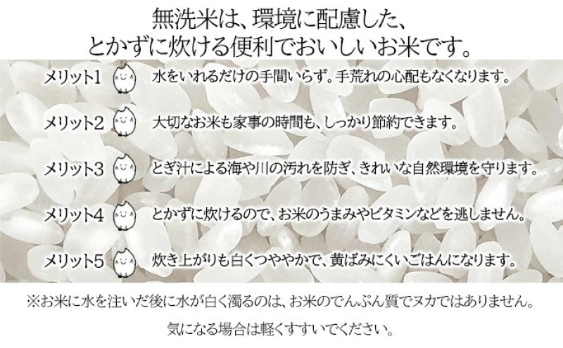 【令和7年産先行予約】北海道 定期便 12ヵ月連続12回 令和7年産 ななつぼし 無洗米 2kg×1袋 特A 精米 米 白米 ご飯 お米 ごはん 国産 ブランド米 常温 お取り寄せ 産地直送 送料無料