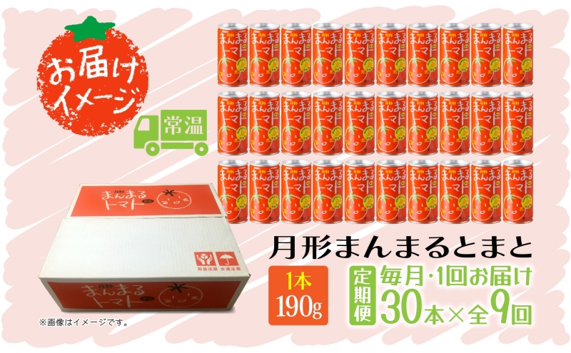 定期便 9ヶ月 北海道 トマトジュース 月形まんまるトマト 190g×30本 桃太郎 トマト 食塩不使用 食塩無添加 とまと 缶 無塩 ジュース ストレート 野菜ジュース 健康 完熟 ご褒美 プレゼント 送料無料 月形町